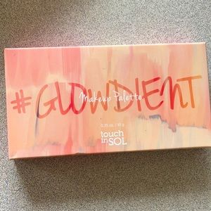 Touch in sol pretty filter glowdient makeup palett
